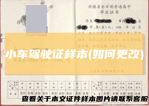 小车驾驶证样本(如何更改)