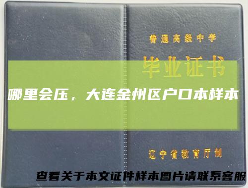 哪里会压，大连金州区户口本样本