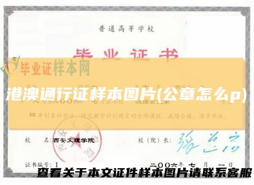 港澳通行证样本图片(公章怎么p)