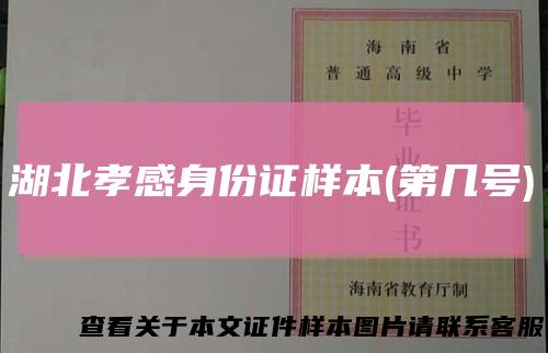 湖北孝感身份证样本(第几号)