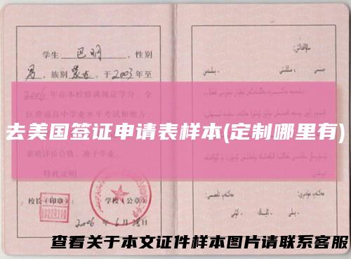 去美国签证申请表样本(定制哪里有)