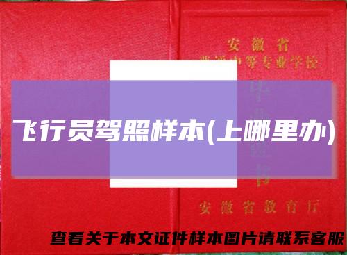飞行员驾照样本(上哪里办)