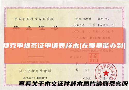 捷克申根签证申请表样本(在哪里能办到)