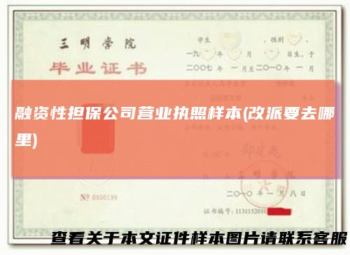 融资性担保公司营业执照样本(改派要去哪里)
