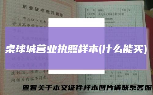 桌球城营业执照样本(什么能买)