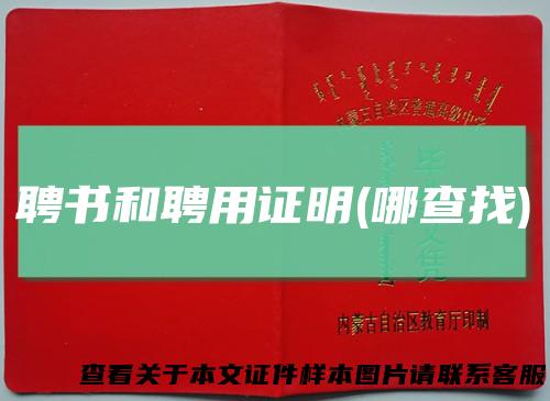 聘书和聘用证明(哪查找)