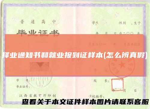 择业通知书和就业报到证样本(怎么辨真假)