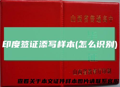 印度签证添写样本(怎么识别)