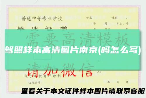 驾照样本高清图片南京(吗怎么写)