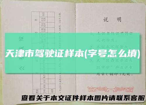天津市驾驶证样本(字号怎么填)