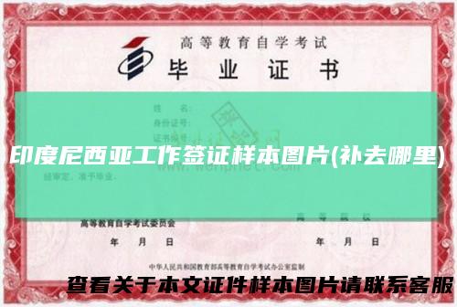 印度尼西亚工作签证样本图片(补去哪里)