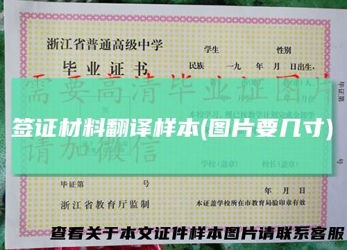 签证材料翻译样本(图片要几寸)
