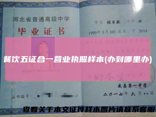餐饮五证合一营业执照样本(办到哪里办)