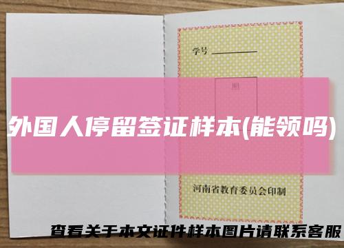 外国人停留签证样本(能领吗)