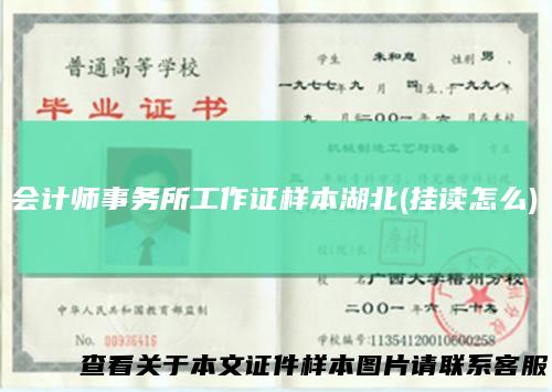 会计师事务所工作证样本湖北(挂读怎么)