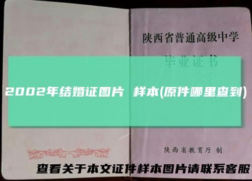 2002年结婚证图片 样本(原件哪里查到)