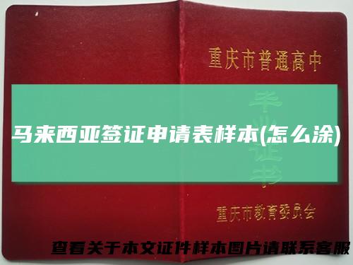 马来西亚签证申请表样本(怎么涂)