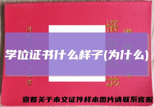 学位证书什么样子(为什么)