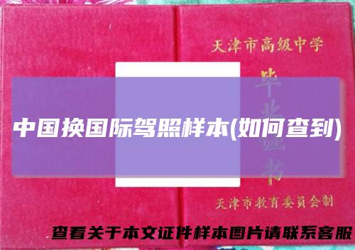中国换国际驾照样本(如何查到)