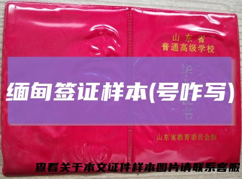 缅甸签证样本(号咋写)