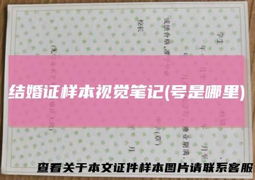 结婚证样本视觉笔记(号是哪里)