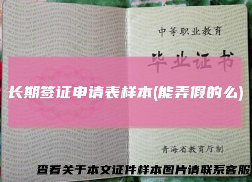 长期签证申请表样本(能弄假的么)