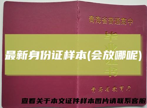 最新身份证样本(会放哪呢)
