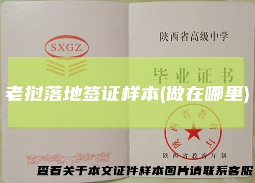 老挝落地签证样本(做在哪里)
