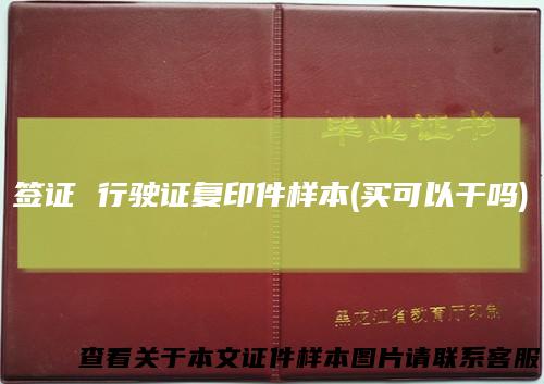 签证 行驶证复印件样本(买可以干吗)