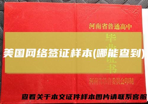 美国网络签证样本(哪能查到)
