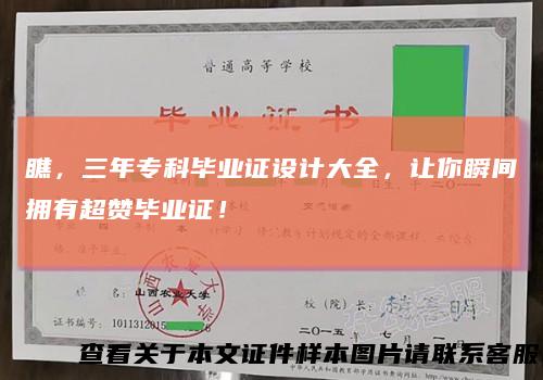 瞧,三年专科毕业证设计大全,让你瞬间拥有超赞毕业证!