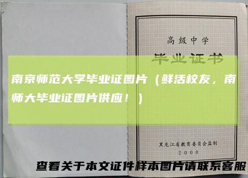 南京师范大学毕业证图片（鲜活校友，南师大毕业证图片供应！）