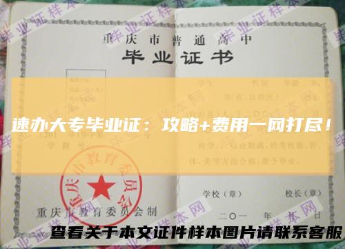 速办大专毕业证：攻略+费用一网打尽！