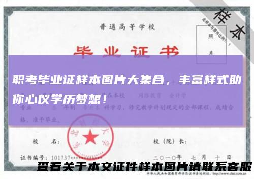 职考毕业证样本图片大集合，丰富样式助你心仪学历梦想！
