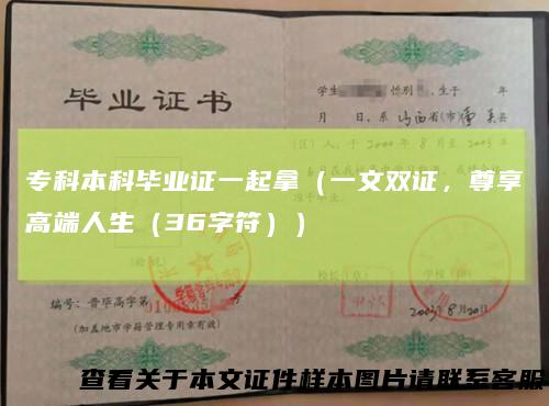 专科本科毕业证一起拿(一文双证,尊享高端人生(36字符))