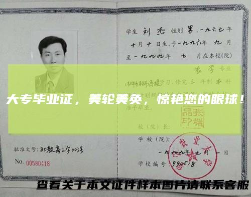 大专毕业证，美轮美奂，惊艳您的眼球！