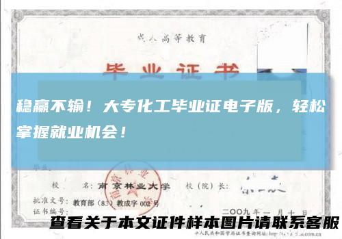 稳赢不输！大专化工毕业证电子版，轻松掌握就业机会！