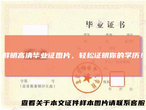 鲜明高清毕业证图片,轻松证明你的学历!