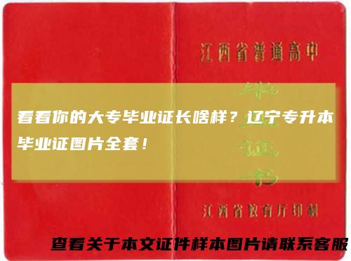 看看你的大专毕业证长啥样？辽宁专升本毕业证图片全套！