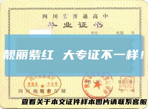 靓丽紫红大专证不一样！