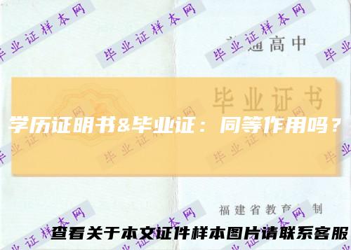 学历证明书&毕业证：同等作用吗？