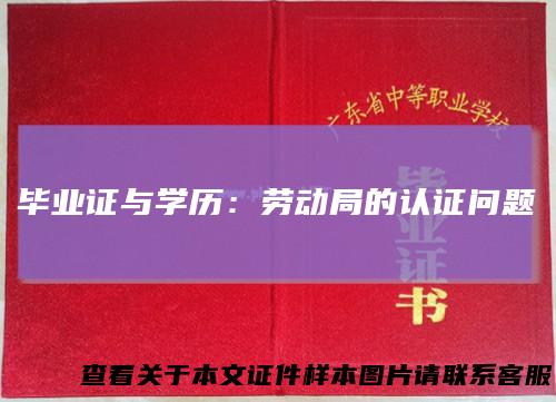 毕业证与学历:劳动局的认证问题