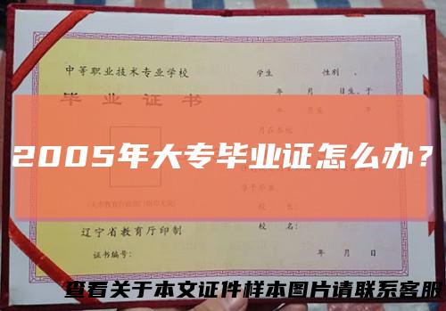 2005年大专毕业证怎么办?