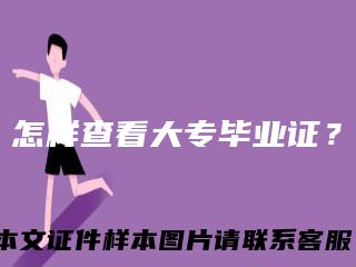 怎样查看大专毕业证？