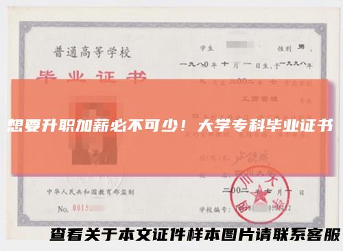 想要升职加薪必不可少!大学专科毕业证书