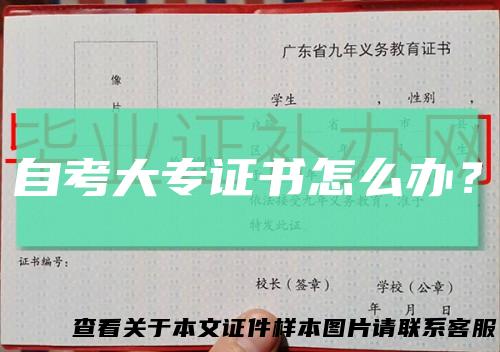 自考大专证书怎么办?