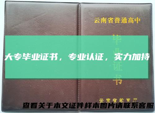 大专毕业证书，专业认证，实力加持