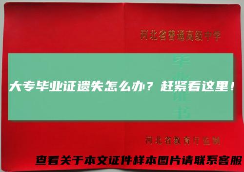 大专毕业证遗失怎么办?赶紧看这里!