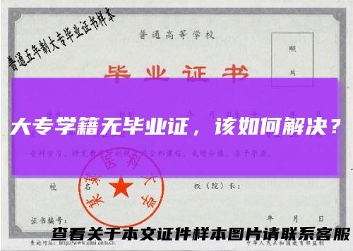 大专学籍无毕业证,该如何解决?
