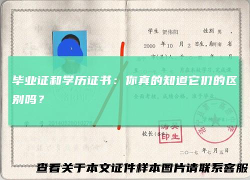 毕业证和学历证书：你真的知道它们的区别吗？
